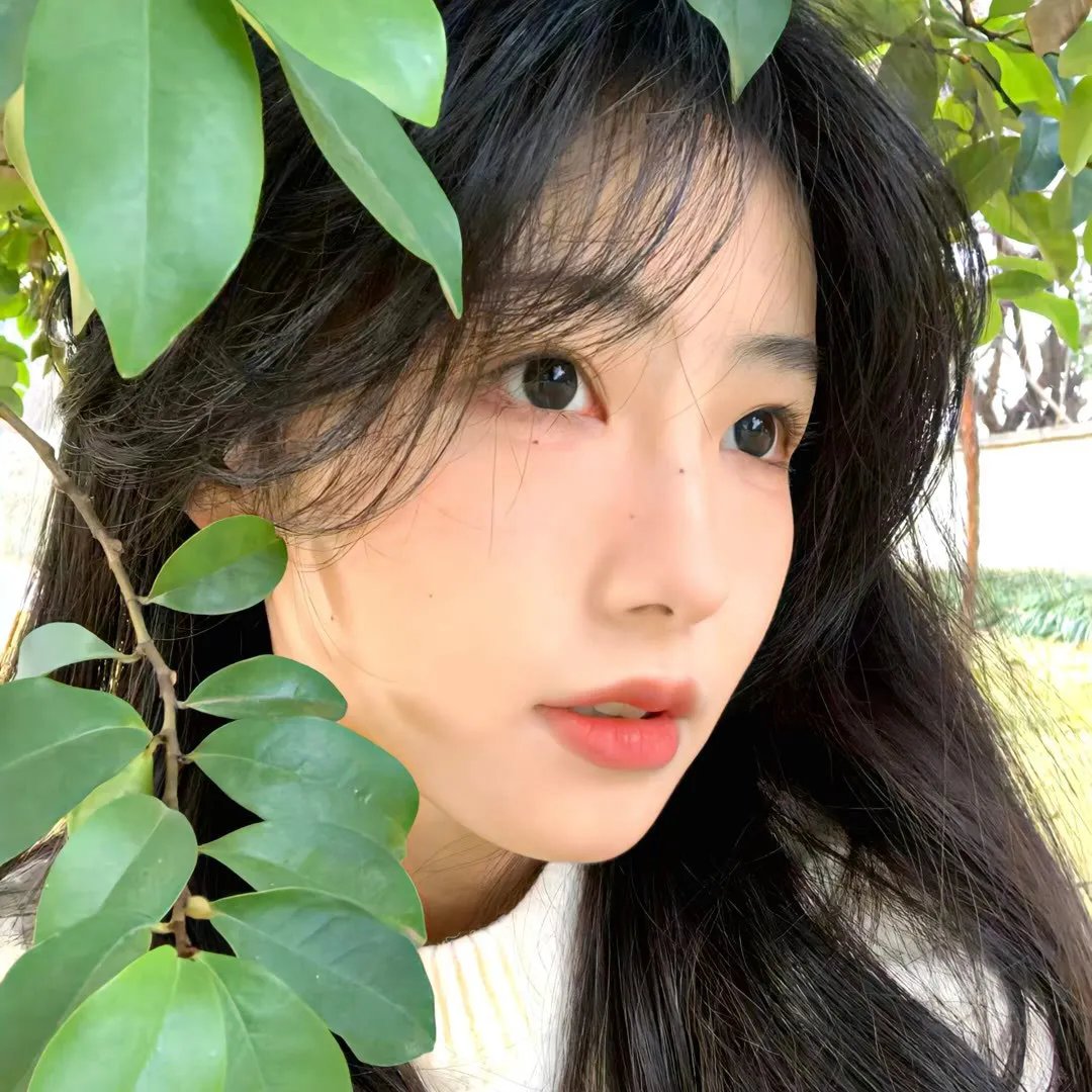 金牌红娘